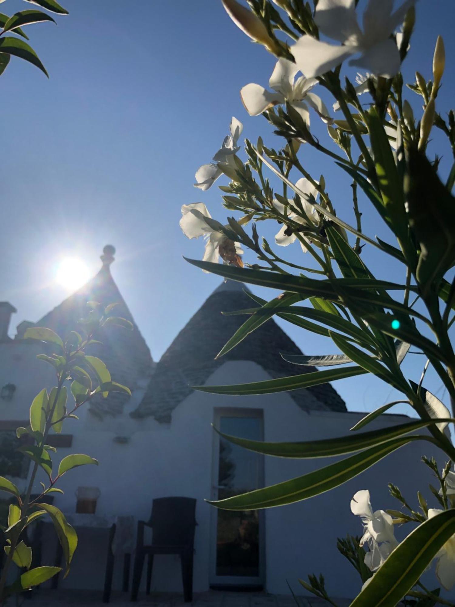 Trullo Trilli Puglia Villa Martina Franca Exterior photo