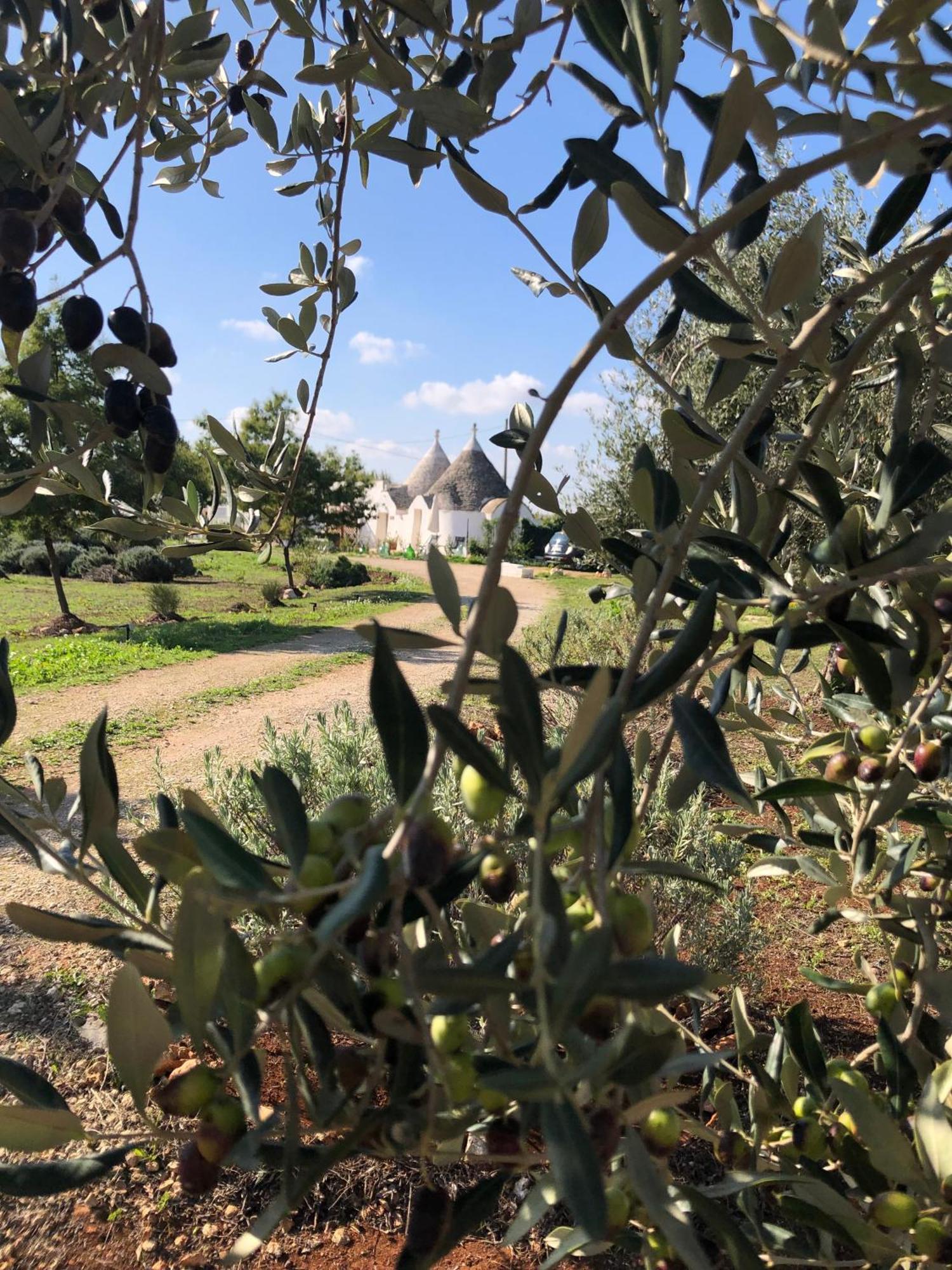 Trullo Trilli Puglia Villa Martina Franca Exterior photo